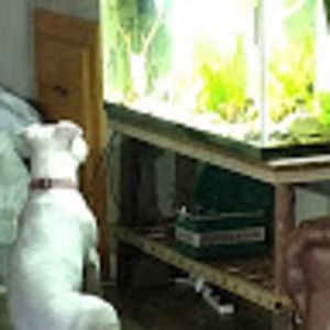 Meet your Posher, Bridgette